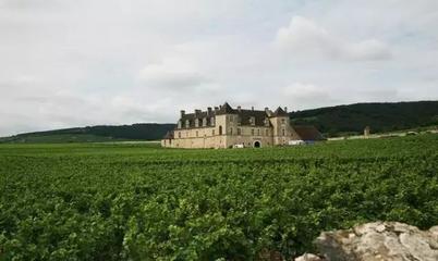 游走在法國(guó)的胃:勃艮第的美食美酒