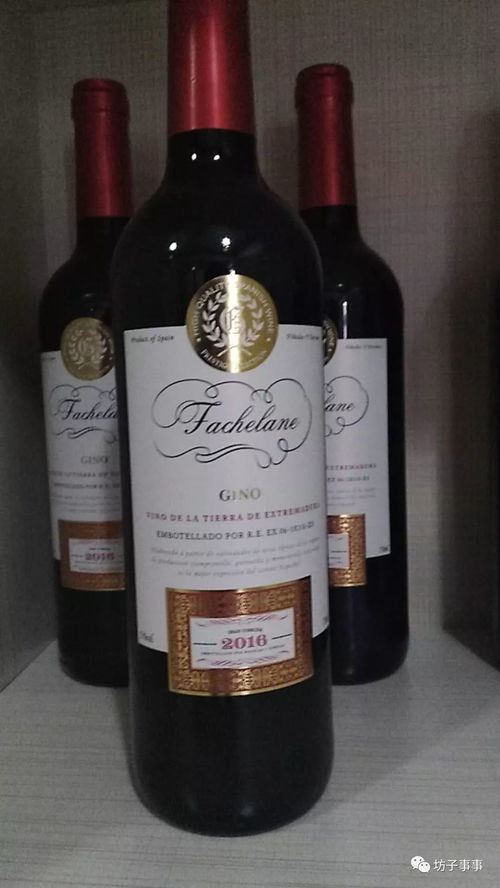 正宗法國紅酒卡蒂娜正式登陸坊子，坊子人盡享法蘭西醇香